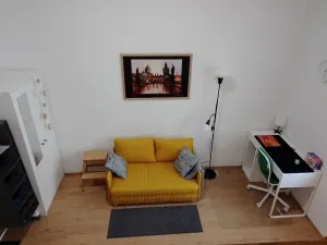 Prodej bytu 1+kk, Praha - Nové Město, Sokolská, 23 m2