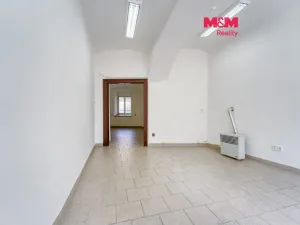 Pronájem obchodního prostoru, Plzeň - Jižní Předměstí, Palackého, 48 m2