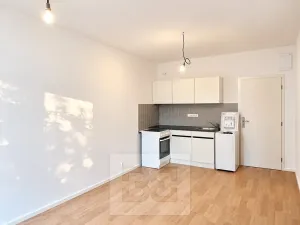Pronájem bytu 1+kk, Praha - Hodkovičky, Havlovického, 22 m2