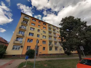 Prodej bytu 2+1, Praha - Žižkov, Pod lipami, 52 m2