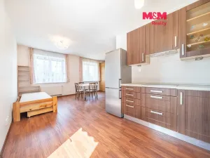 Pronájem bytu 1+kk, Plzeň - Skvrňany, Waltrova, 50 m2