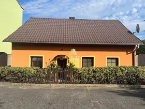 Prodej rodinného domu, Ústí nad Labem, 1. máje, 250 m2