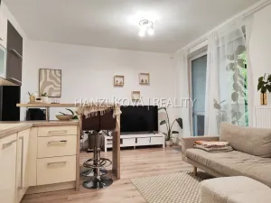 Pronájem bytu 2+kk, České Budějovice - České Budějovice 2, Volejbalistů, 48 m2