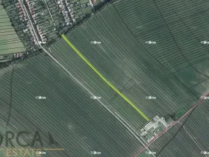 Prodej podílu pole, Prušánky, 840 m2