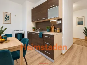 Pronájem bytu 1+1, Karviná - Hranice, Einsteinova, 33 m2