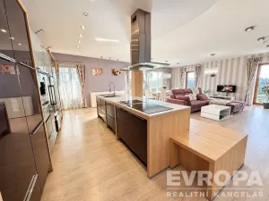 Pronájem bytu 3+kk, Plzeň - Jižní Předměstí, U Borského parku, 153 m2