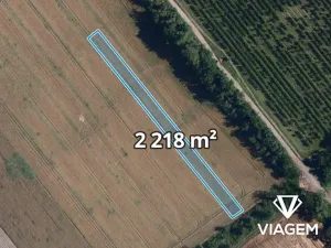 Prodej podílu pole, Podivín, 629 m2