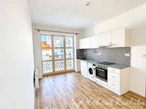 Pronájem bytu 1+1, Praha, Nad Primaskou, 50 m2