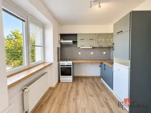 Pronájem bytu 1+1, Dolní Benešov, Osada míru, 32 m2
