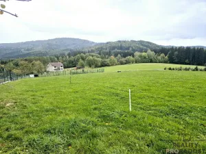 Prodej pozemku pro bydlení, Písek, 1631 m2
