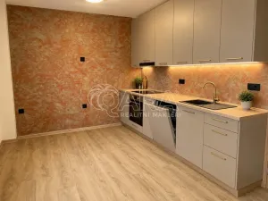 Pronájem bytu 1+kk, Přerov nad Labem, 30 m2