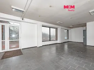 Prodej obchodního prostoru, Častolovice, Komenského, 154 m2