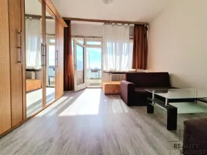 Pronájem bytu 1+kk, Brno, Pekařská, 25 m2