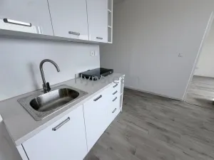 Prodej bytu 1+1, Ústí nad Labem - Neštěmice, Sibiřská, 42 m2