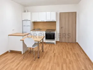 Pronájem bytu 1+kk, Olomouc, Aloise Rašína, 29 m2