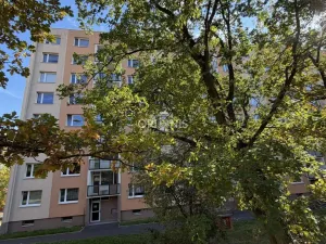 Pronájem bytu 3+1, Chomutov, 17. listopadu, 80 m2
