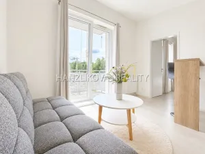 Pronájem bytu 2+kk, České Budějovice - České Budějovice 2, U Boru, 40 m2