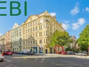 Prodej bytu 3+1, Praha, Římská, 121 m2