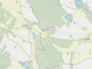 Dražba lesa, Český Rudolec, 2508 m2