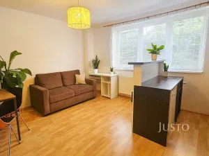 Pronájem bytu 1+kk, Písek, Přemyslova, 28 m2