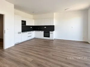 Pronájem bytu 2+kk, Plzeň, Františka Kováříka, 61 m2