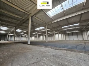 Pronájem výrobních prostor, Kozomín, 6000 m2