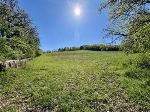 Prodej pole, Úštěk, 30951 m2