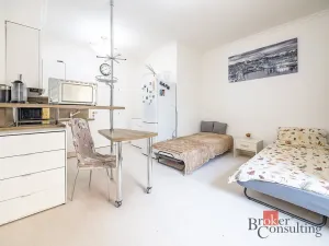 Prodej bytu 1+kk, Praha - Žižkov, Rokycanova, 35 m2