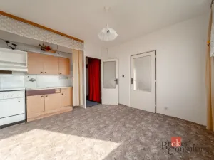 Prodej bytu 1+1, Litvínov - Horní Litvínov, Tylova, 36 m2