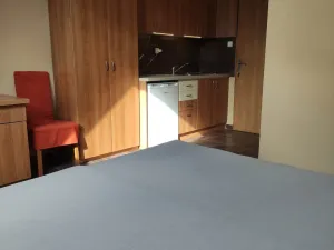 Pronájem bytu 1+kk, Staré Město, 25 m2