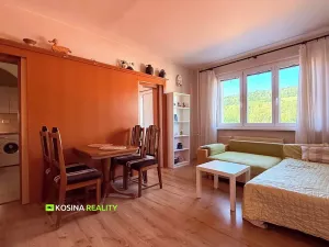 Pronájem bytu 1+1, Kraslice, Čs. armády, 37 m2