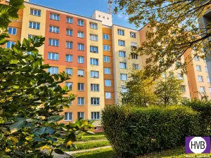 Pronájem bytu 1+1, Klatovy, Za Beránkem, 39 m2