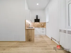 Prodej bytu 2+1, Opava - Předměstí, Zámecký okruh, 65 m2