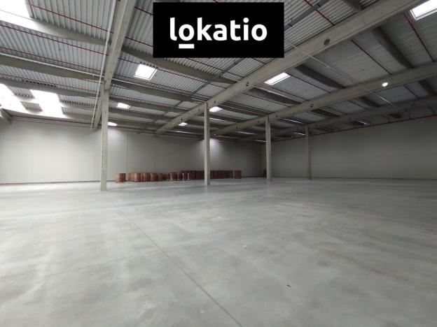 Pronájem skladu, Jirkov, 4300 m2