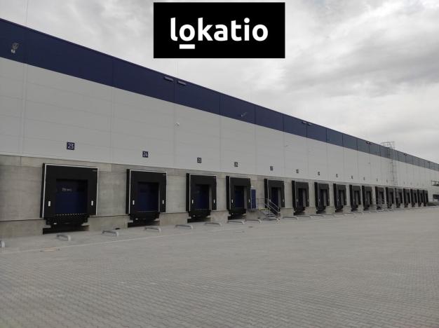 Pronájem skladu, Jirkov, 4300 m2