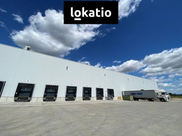 Pronájem skladu, Holubice, 3078 m2