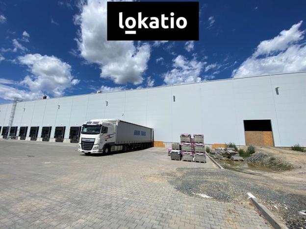 Pronájem skladu, Holubice, 3078 m2