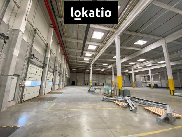 Pronájem skladu, Olomouc, 7587 m2