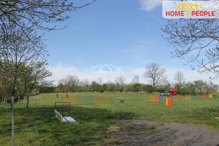 Pronájem komerční nemovitosti, Třebovle, 43662 m2