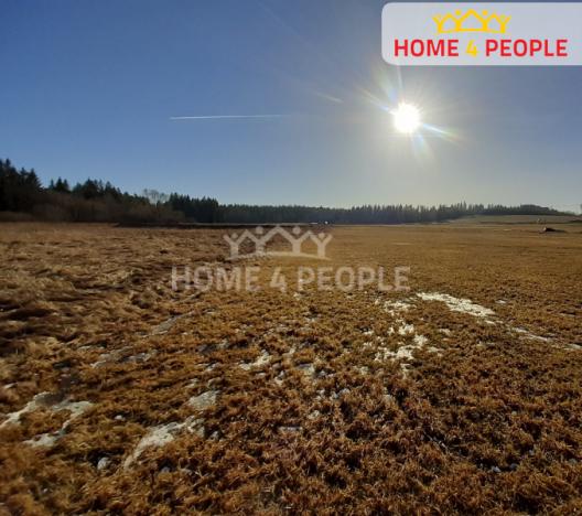 Prodej trvalého travního porostu, Černá v Pošumaví, 9804 m2