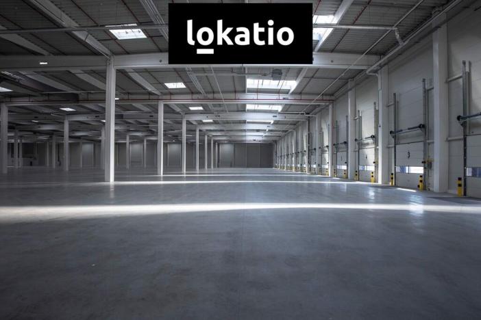 Pronájem skladu, Ostrava - Vítkovice, 29524 m2