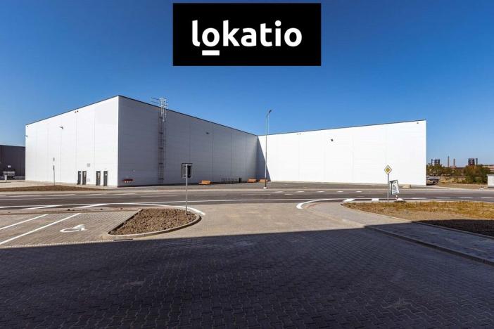 Pronájem skladu, Ostrava - Vítkovice, 29524 m2