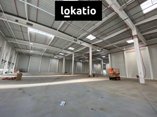 Pronájem skladu, Ostrava - Vítkovice, 1310 m2