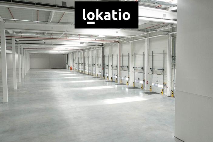 Pronájem skladu, Ostrava - Vítkovice, 10275 m2