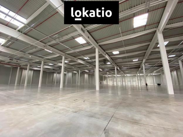 Pronájem skladu, Ostrava - Vítkovice, 2900 m2