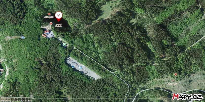 Prodej lesa, Vilémovice, 7168 m2