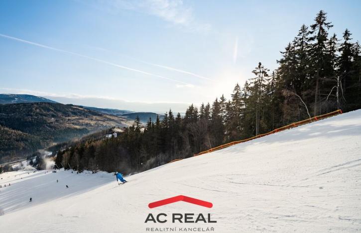 Prodej bytu 3+1, Vrchlabí - Hořejší Vrchlabí, Horská, 73 m2