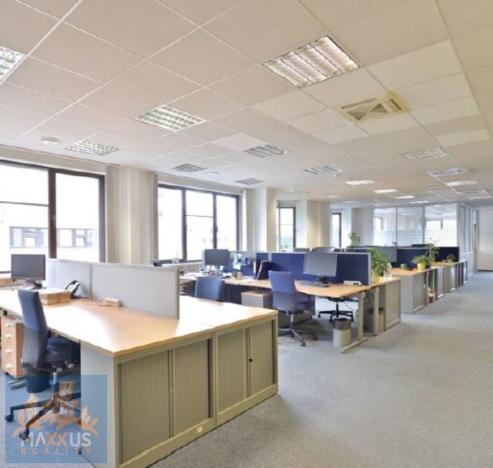 Pronájem obchodního prostoru, Praha - Chodov, Hráského, 562 m2