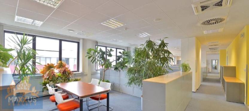 Pronájem obchodního prostoru, Praha - Chodov, Hráského, 562 m2