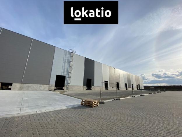 Pronájem skladu, Prostějov, 4500 m2